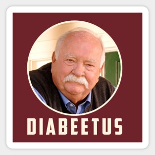 Newest funny design for Diabeetus lovers design Magnet